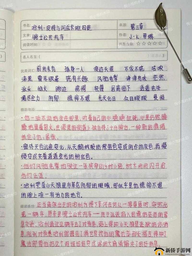 《火山的女儿:走丢的小孩对话揭示生命启示与成长勇气》