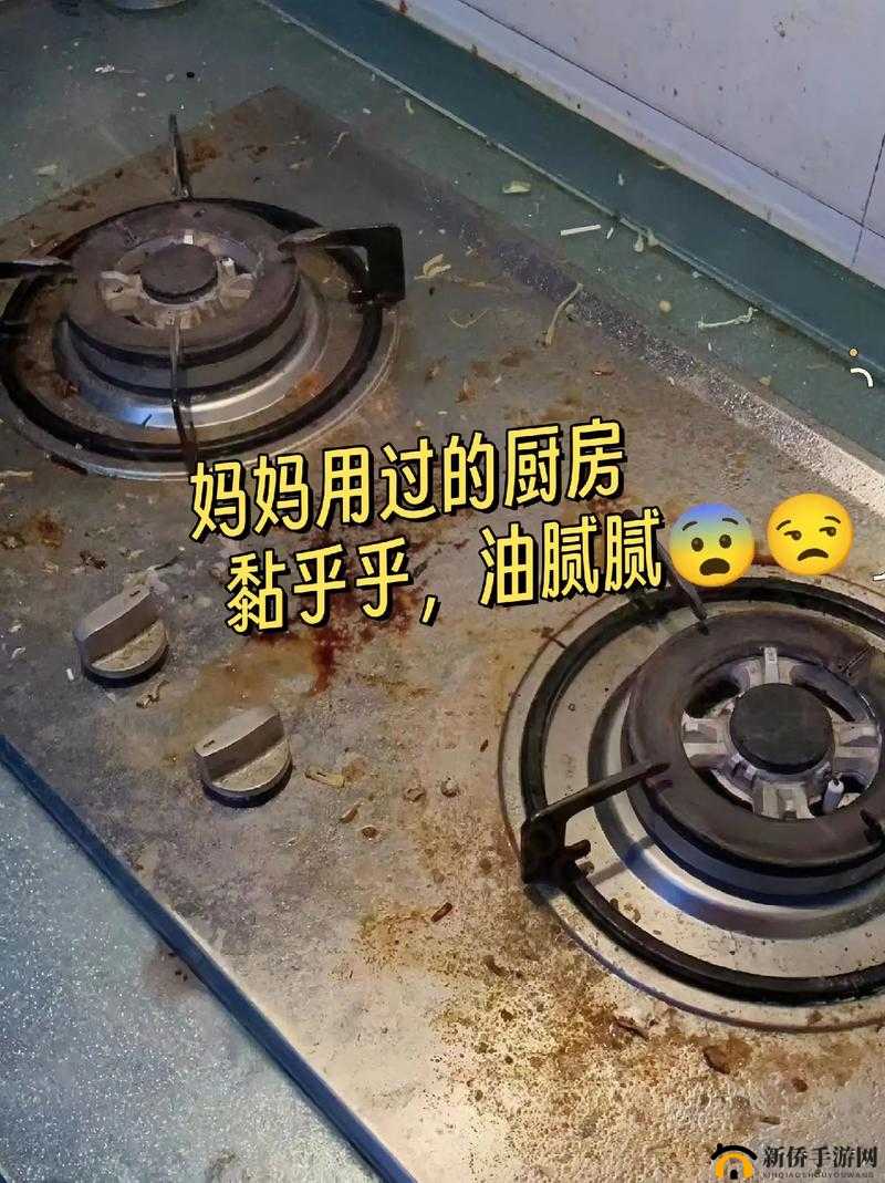 从厨房一路干到客厅怎么说:家务劳动的连续挑战