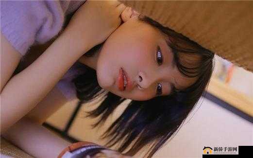 GOGOGO 高清免费播放:精彩内容随时享