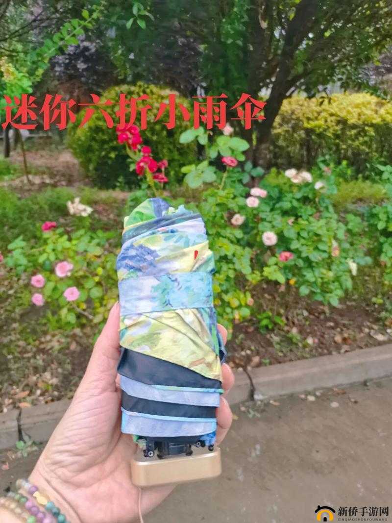 一天晚上用了好几个小雨伞:这是咋回事