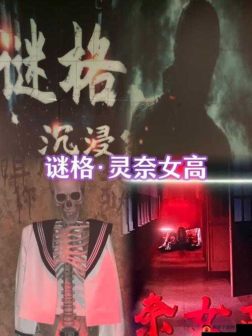 夜里 18 款禁用 B 站大全:为何被禁之谜