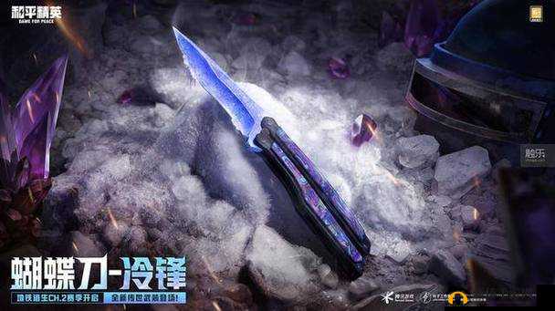 和平精英鲁冰花海位置详解:寻找游戏中的美丽花海秘境