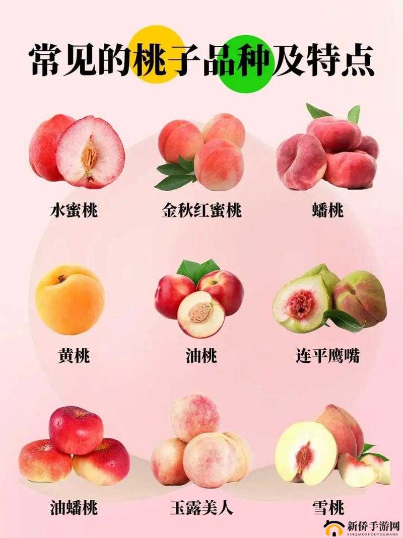 水蜜桃精品一二三:鲜美多汁的甜蜜绣惑