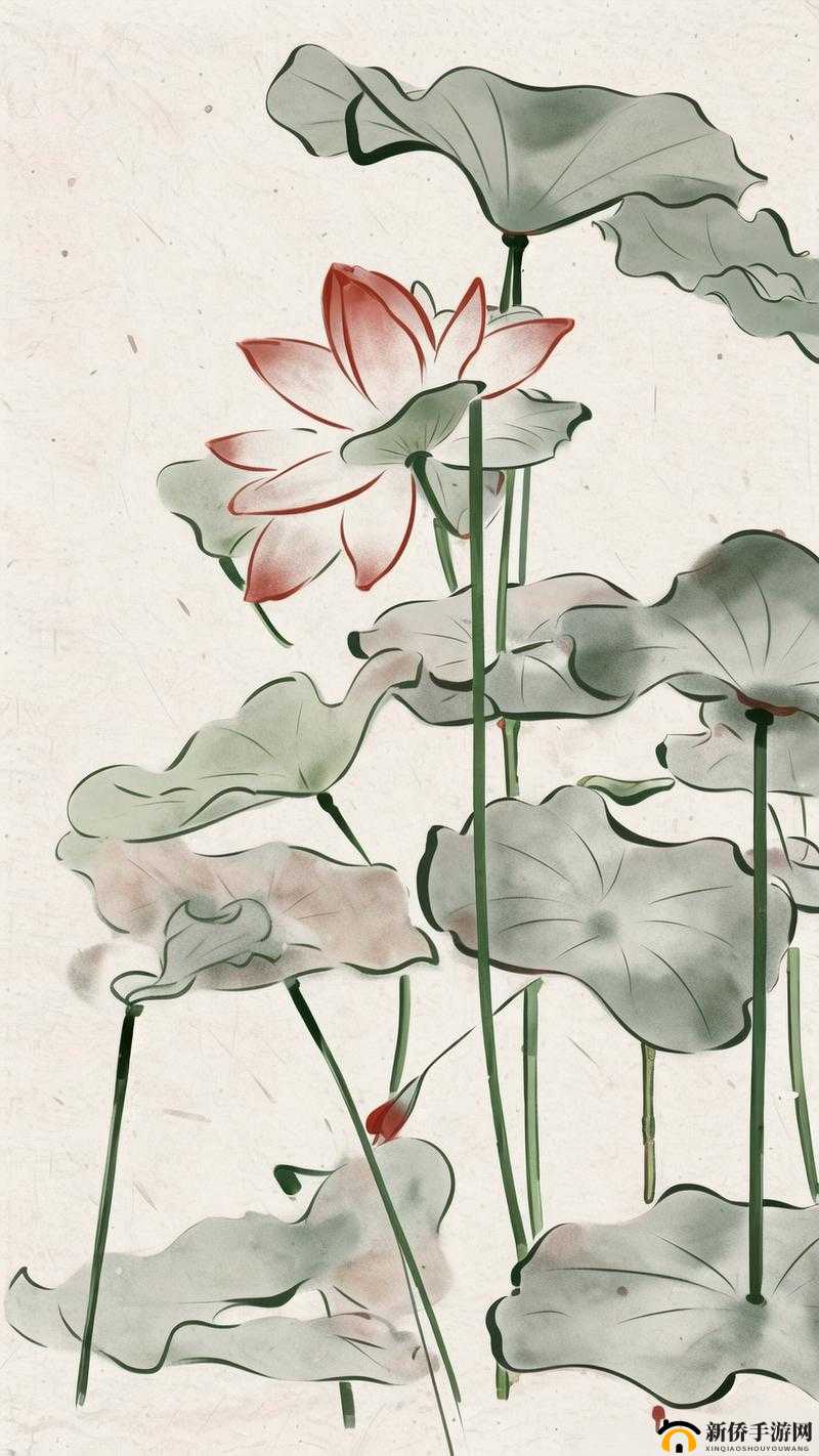 女人俬密部位称莲花的独特魅力