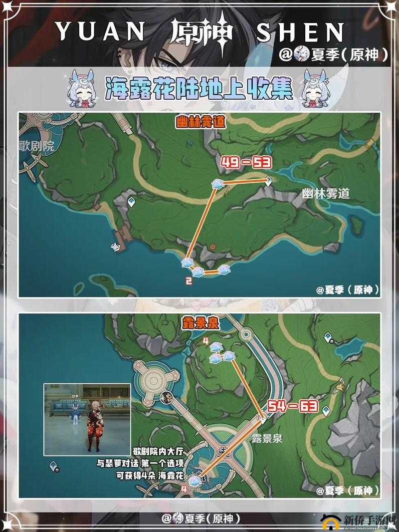 《原神》海露花购买与采集全攻略:地点路线推荐图助你轻松找到海露花