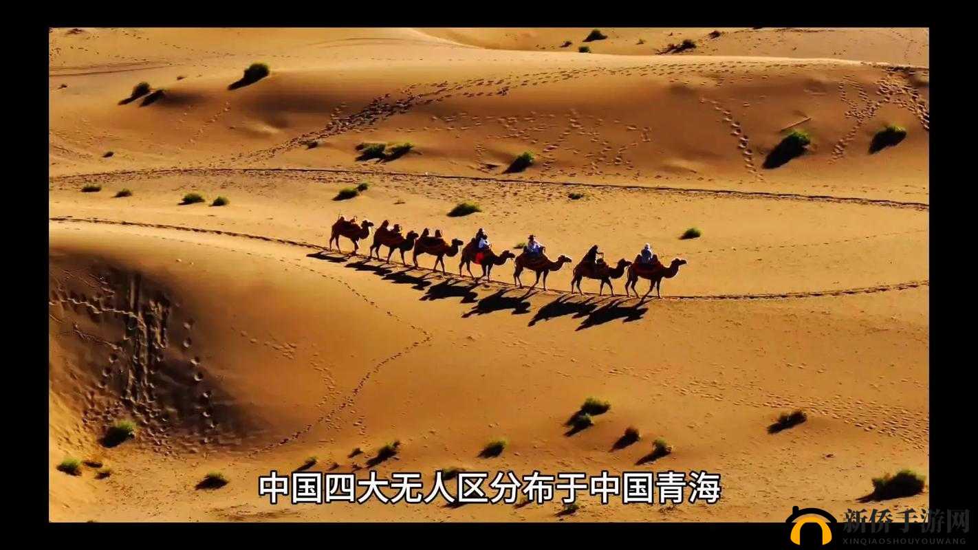 国产无人区:神秘的探险之旅