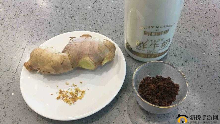 姜汁撞奶 POH:美味的秘密
