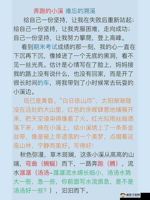 一次难忘的大学经历:在实践中成长