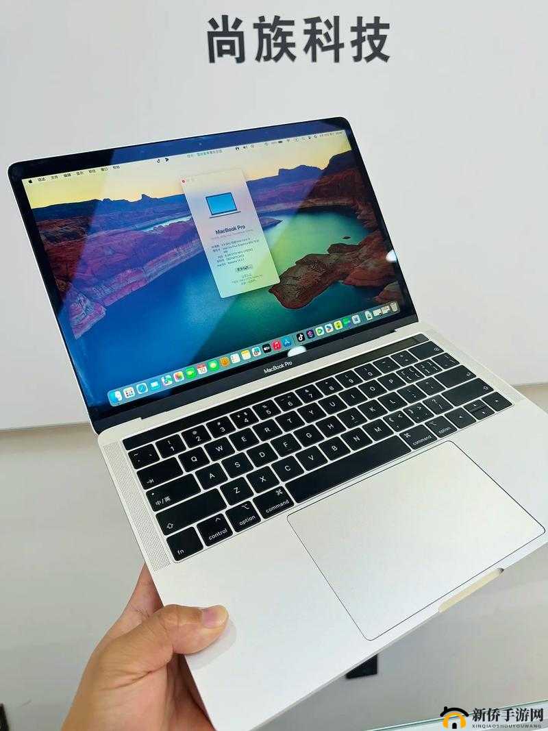 18 岁 Macbook Pro:学习娱乐的最佳伙伴