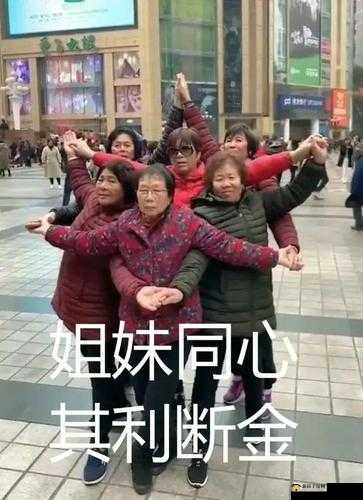 双胞胎姐妹齐上阵:姐妹同心,其利断金