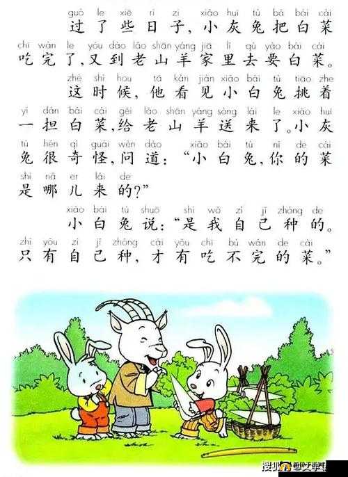初中女生的小兔子:揭秘这个神秘的部位