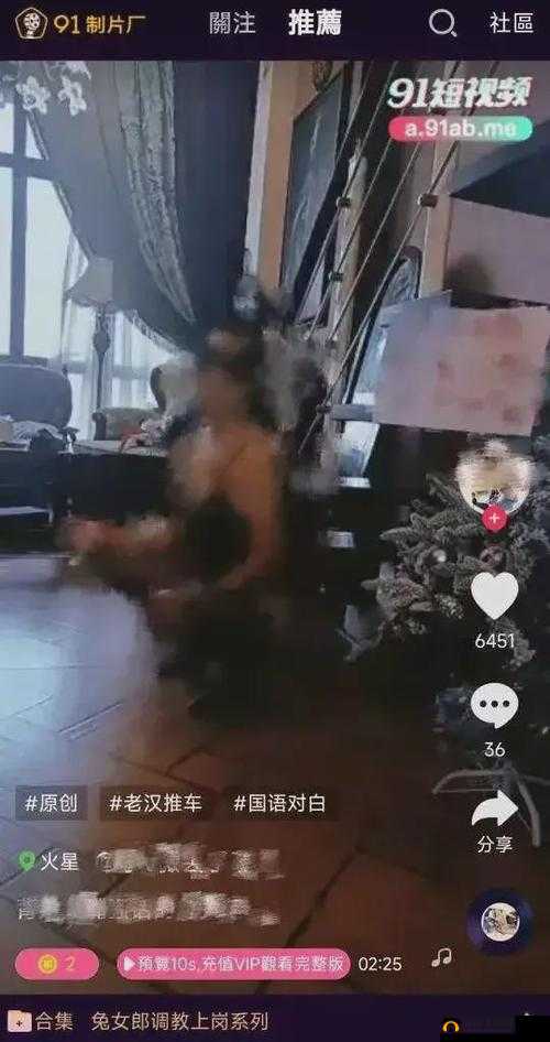 成品禁用视频 APP 短视频：为何被禁用