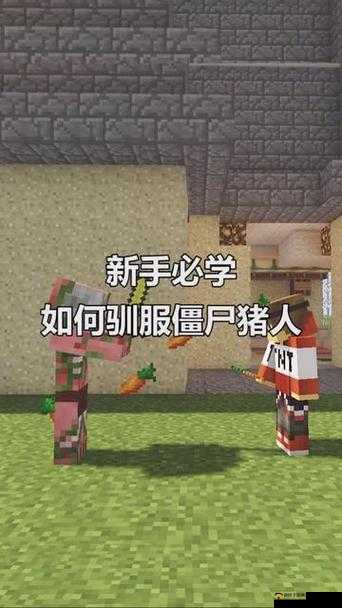 我的世界:驯服僵尸,究竟难不难?