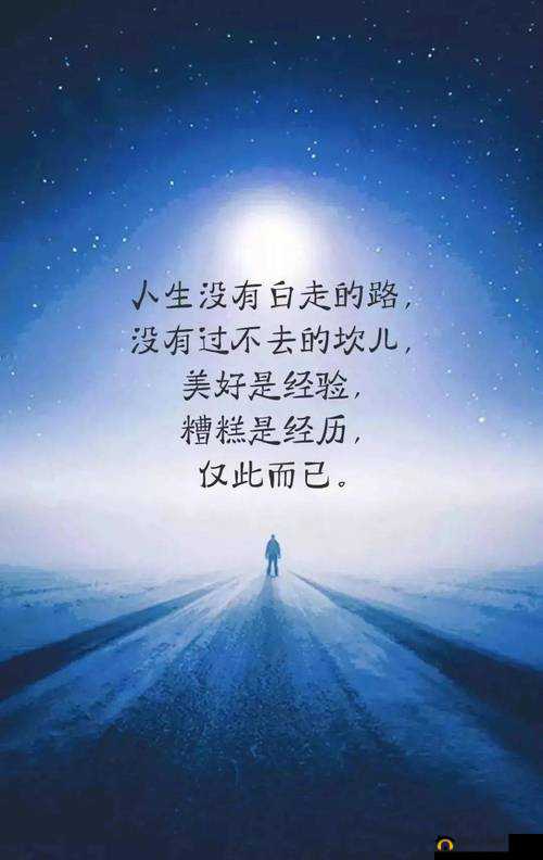 13资质格斗家眼中的精益求精:没有最好,只有更好