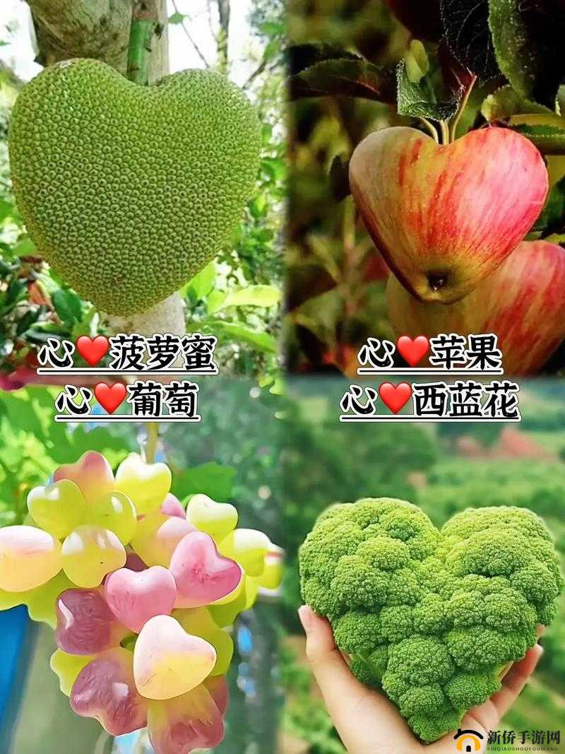 草莓直播间:甜蜜水果与趣味互动的乐园