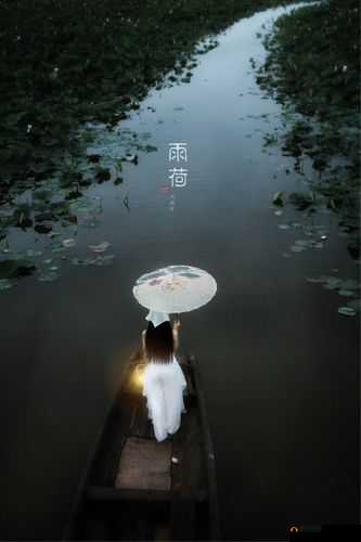 老人船上弄雨荷第 13 集介绍-剧情亮点抢先看