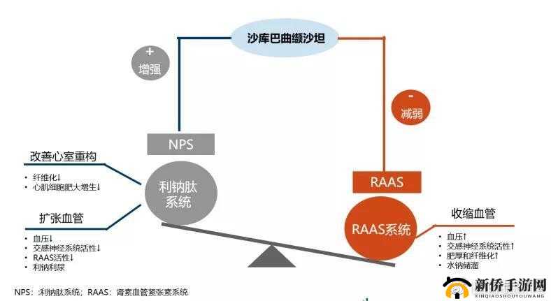 轮换 2:一种独特的机制