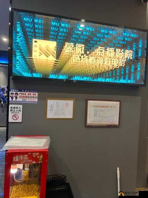 琪琪家庭影院：畅享极致观影体验