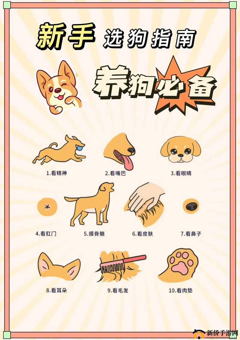 混沌之理新手成长必备综合攻略全指南