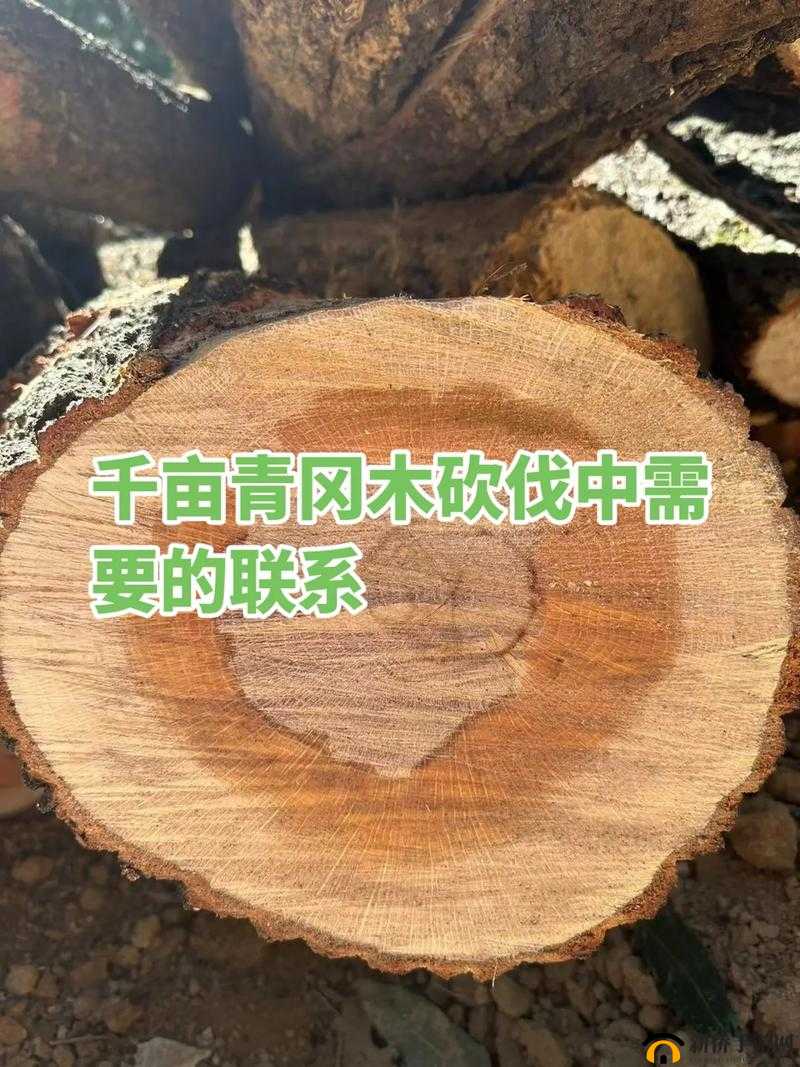 《仙国志》取木任务攻略:高效砍伐与收集技巧分享
