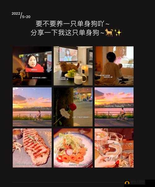 掌握这些神奇技巧，成功唤醒一起来捉妖中的单身汪不是梦