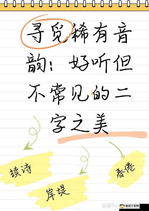《全民大灌篮》巨星攻略:揭秘哈基石的超凡实力与独特技巧解析