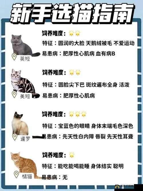 爱情公寓新手开局攻略详解秘籍全分享