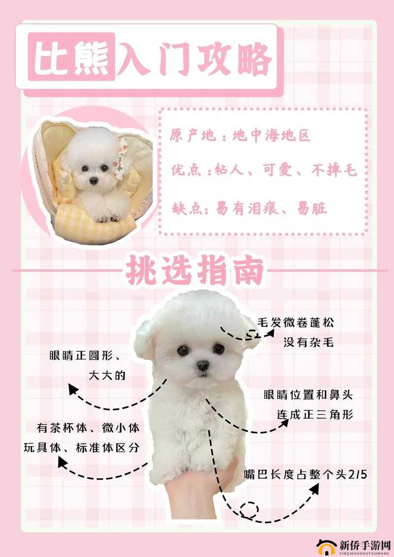 《乱弹国志》新手入门指南:解决常见问题和挑战攻略大全