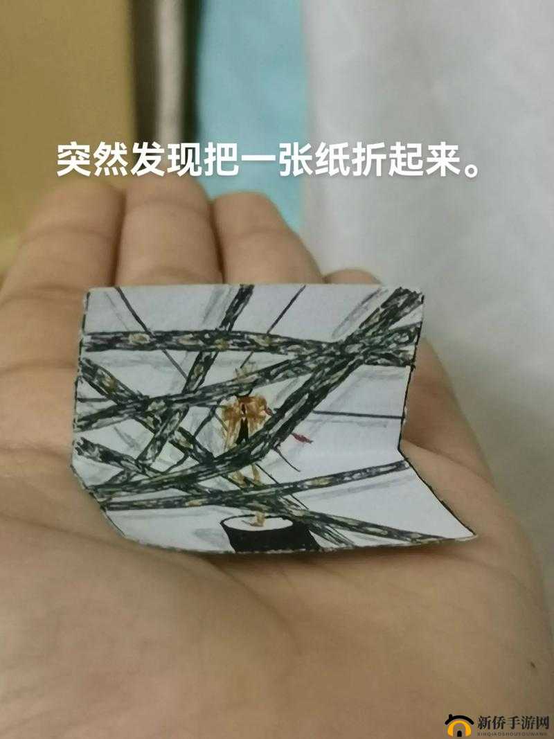 poronono 引发的奇妙思考