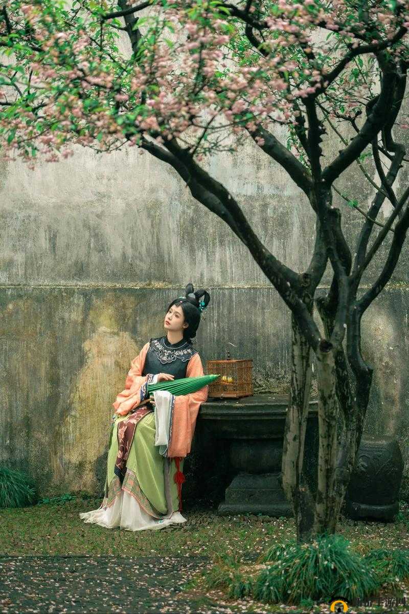 风月海棠 001:花中仙子,风情万种