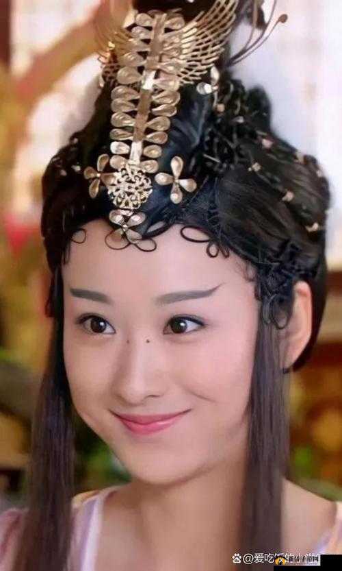《天天有喜手游个人信息查询与系统详解》