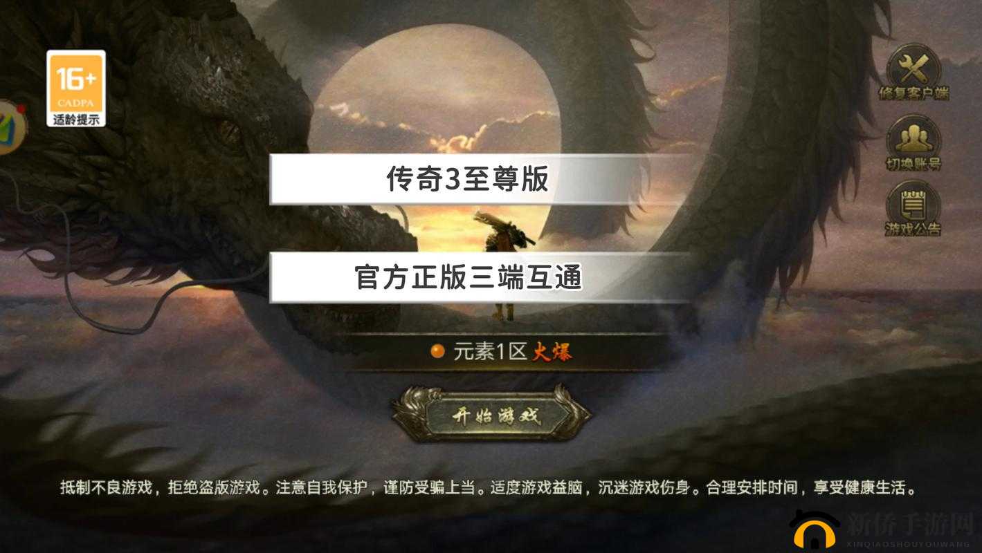 《霸道天下游戏攻略:玩法详解与技巧分享》