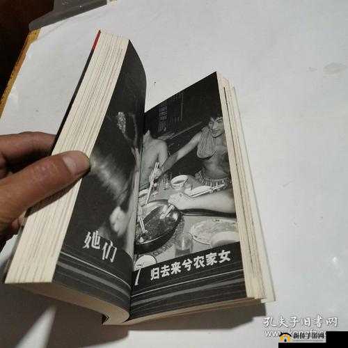 Chinese妻友:关于她们的故事