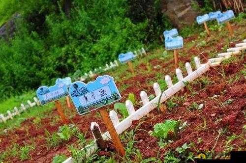 破苞性行为摘花 69 新体验