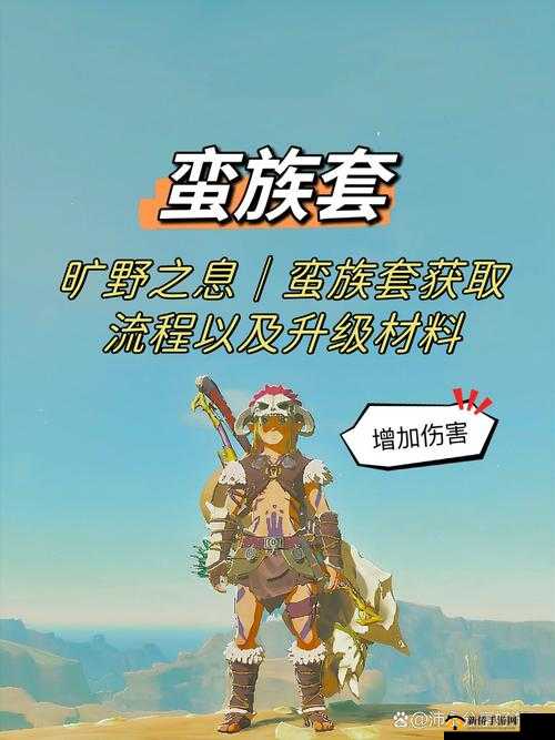 蛮族勇士套:跨越星弧中的实用之选