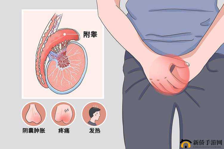 男生的小蛋蛋疼咋回事:原因分析