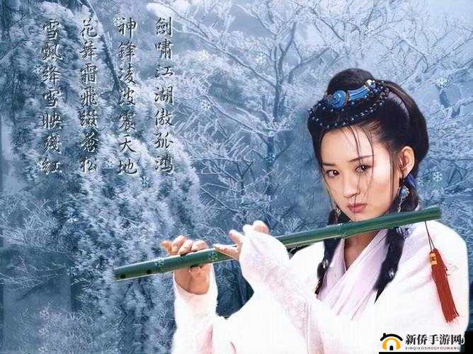 玉女心经 Dplayer：揭秘江湖失传绝学