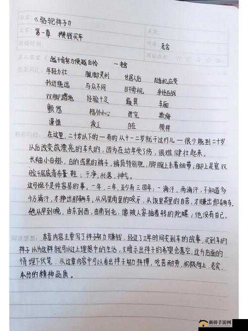《超神战记:适应任何阵容,随机应变》