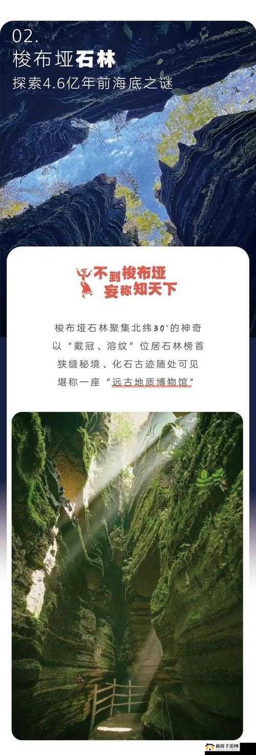 忍者大师神秘商店:探寻秘境,体验独特交易之旅