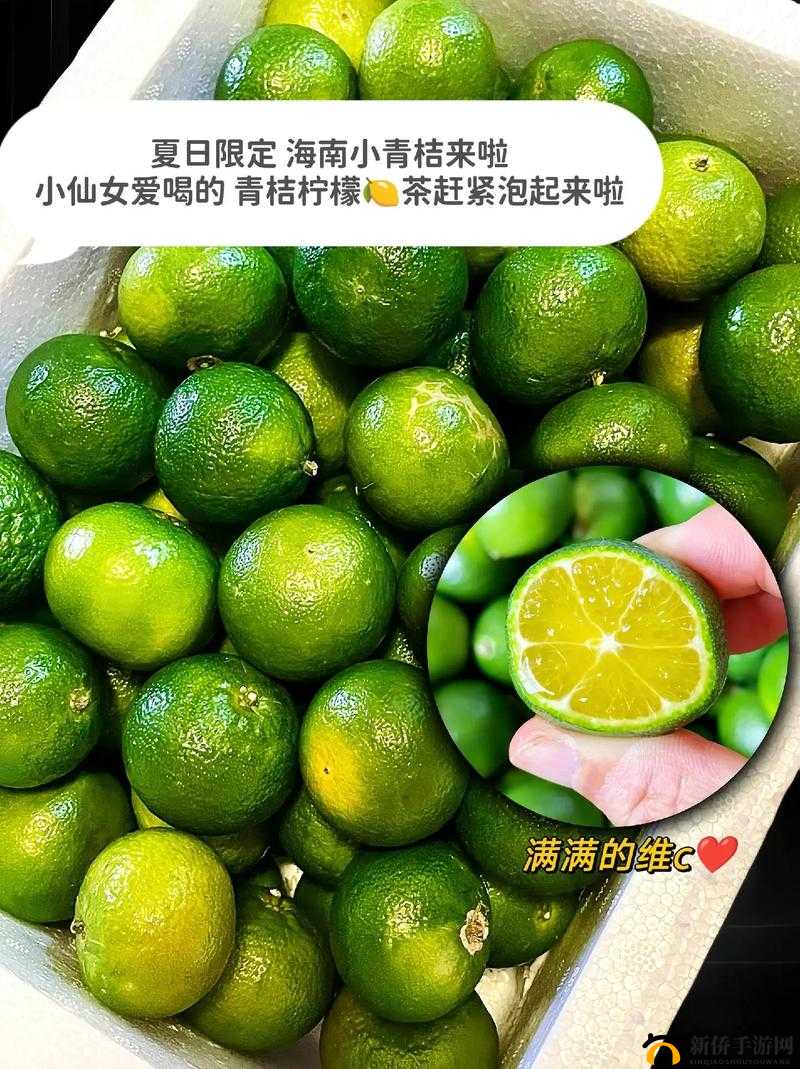 青柠视频在线完整高清观看:海量资源等你看