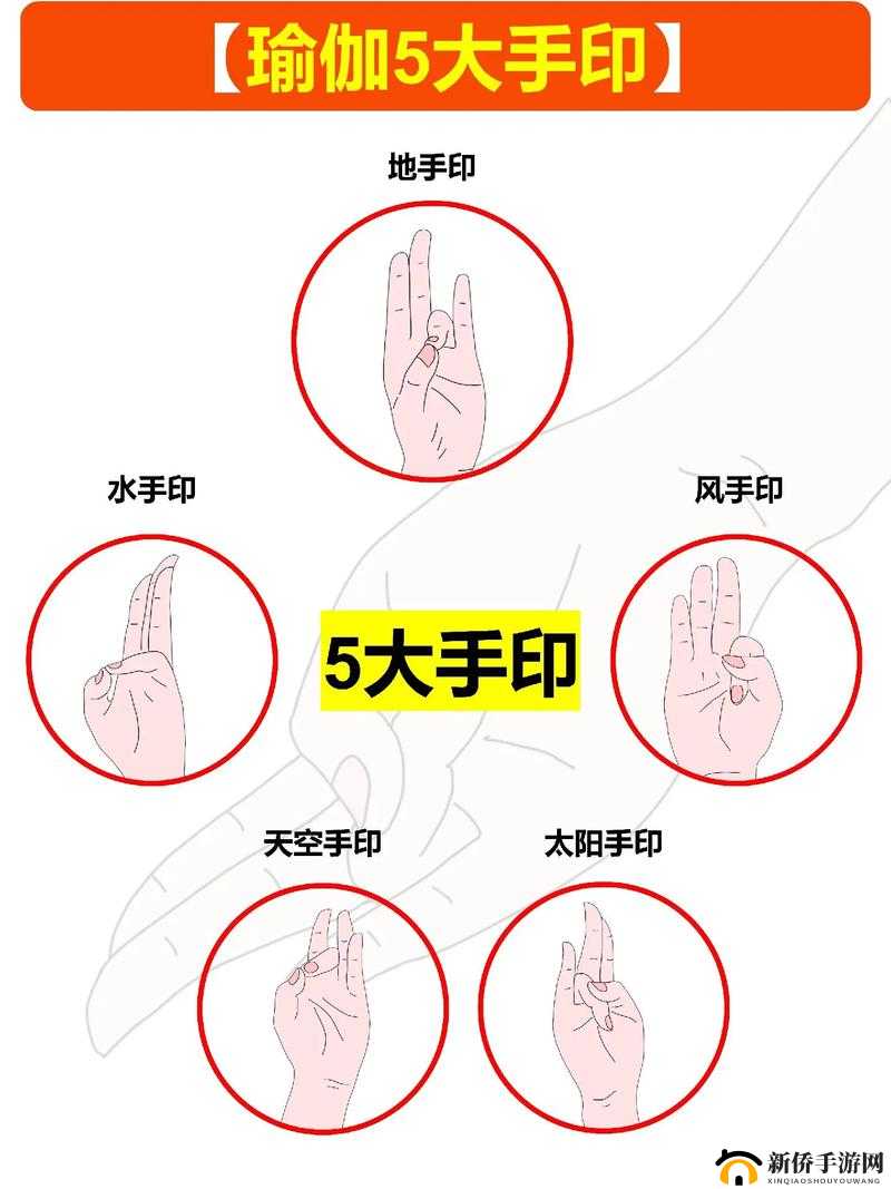 功夫宠物新手宝典:轻松上手必备大技巧攻略指南