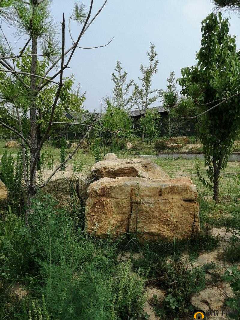 天天传奇热门伙伴推荐排行:哪个伙伴好?