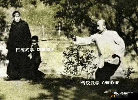 仙武路上的拜师学艺之路:揭秘师徒传承与武学奥秘