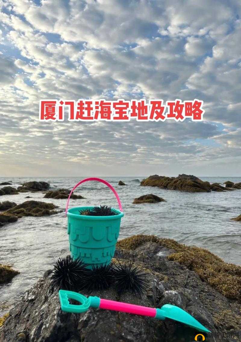 梦间集普通冰火岛掉落物品详细地点全面一览及攻略分析