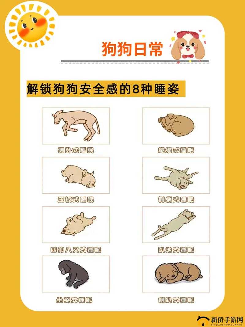 《大主宰土豆版》新手攻略:快速掌握多种姿势解锁技巧