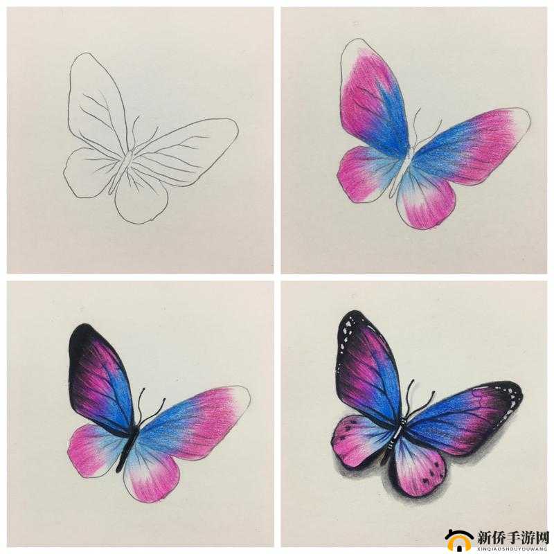 花蝴蝶免费版大全:相关介绍及使用指南