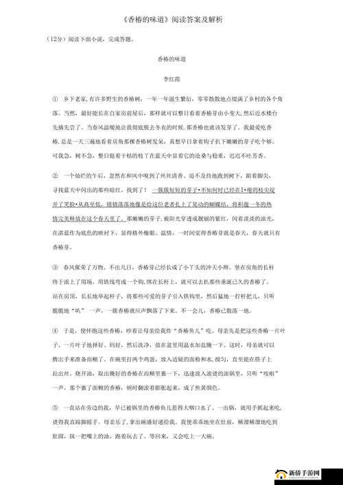 《最远的边陲医师站建筑功能与意义深度解析》