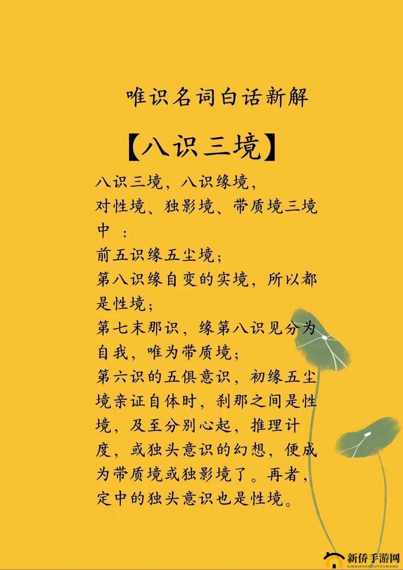 亚洲区域三区域:探索未知的奥秘