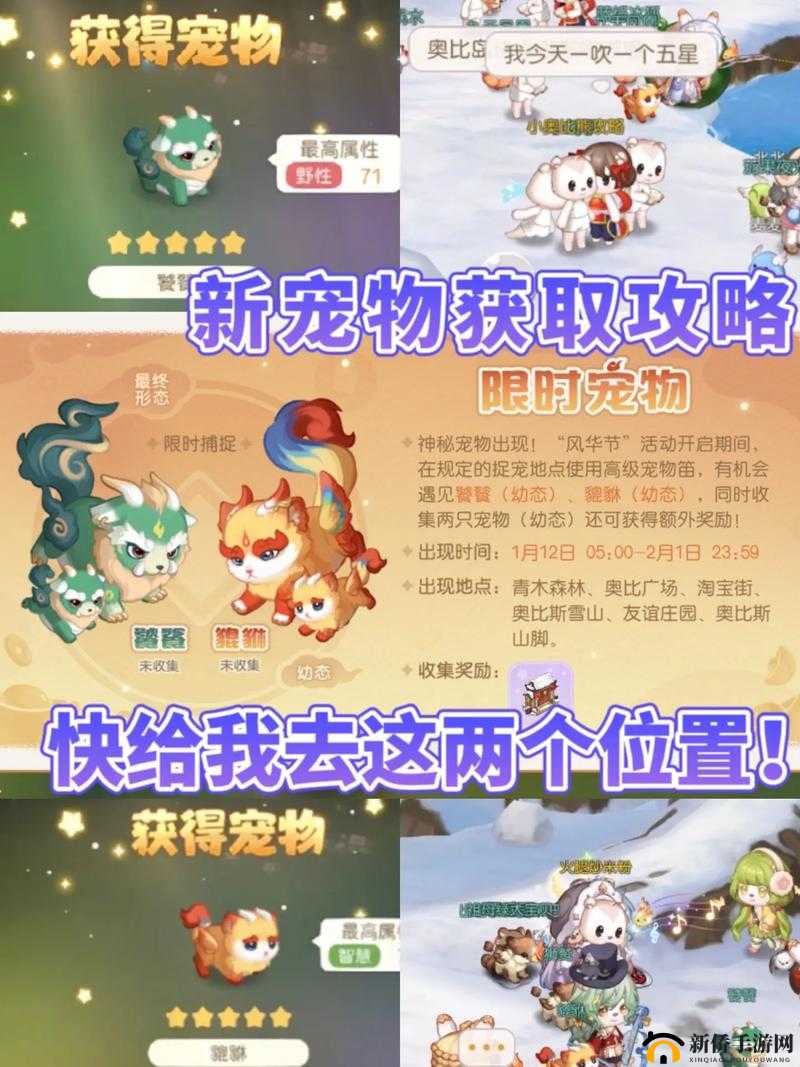 探索宝典:再刷把如何获取高级宠物经验糖果