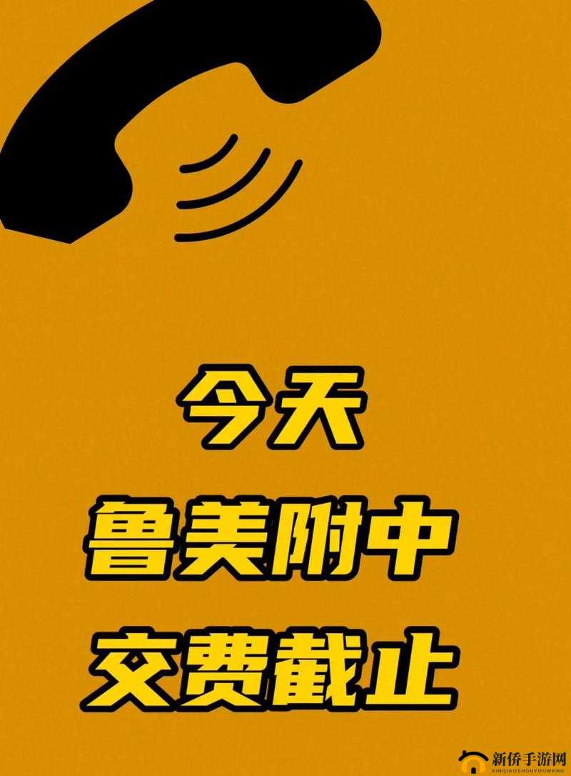 就要鲁就要鲁手机视频：精彩内容呈现